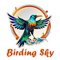 birdingsky logo