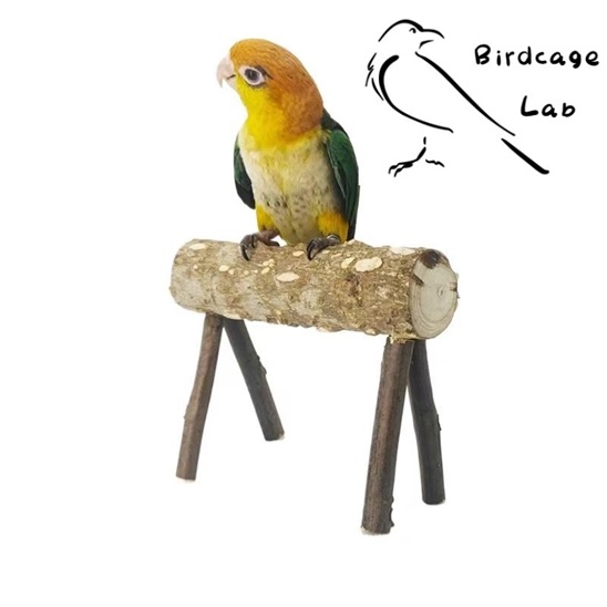 How to Handcraft Parrot Wooden Toys